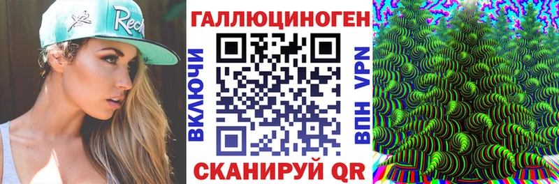 Купить  Духовщина  Псилоцибиновые грибы MAGIC MUSHROOMS 